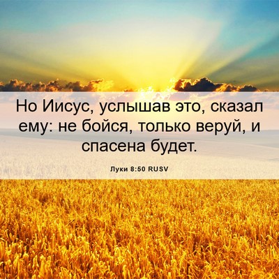 Picture 06 - Луки 8:50 RUSV - Но Иисус, услышав это, - Bible Verse Picture