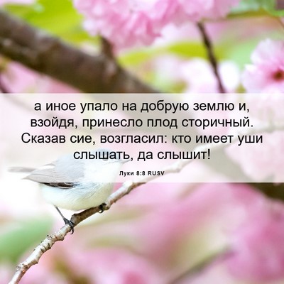 Picture 06 - Луки 8:8 RUSV - а иное упало на добрую - Bible Verse Picture