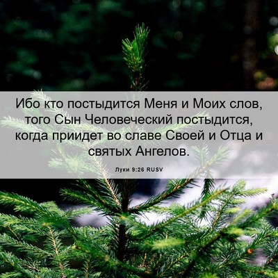 Picture 06 - Луки 9:26 RUSV - Ибо кто постыдится Меня и - Bible Verse Picture