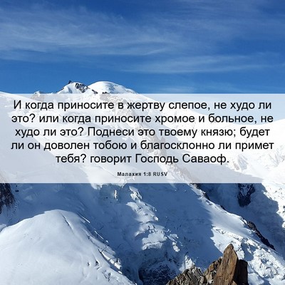 Picture 06 - Малахия 1:8 RUSV - И когда приносите в жертву - Bible Verse Picture