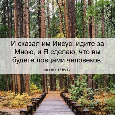 Picture 06 - Марка 1:17 RUSV - И сказал им Иисус: идите за - Bible Verse Picture