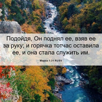 Picture 06 - Марка 1:31 RUSV - Подойдя, Он поднял ее, взяв - Bible Verse Picture