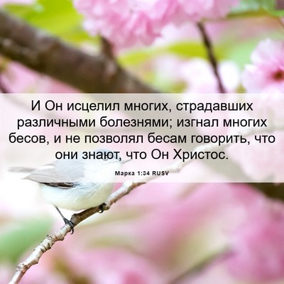 Picture 06 - Марка 1:34 RUSV - И Он исцелил многих, - Bible Verse Picture