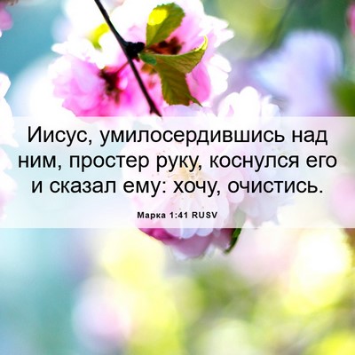 Picture 06 - Марка 1:41 RUSV - Иисус, умилосердившись над - Bible Verse Picture