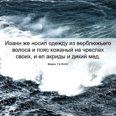 Picture 06 - Марка 1:6 RUSV - Иоанн же носил одежду из - Bible Verse Picture