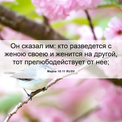 Picture 06 - Марка 10:11 RUSV - Он сказал им: кто - Bible Verse Picture