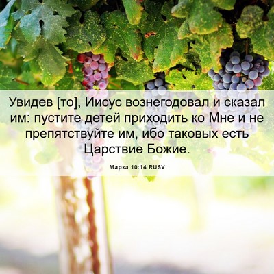 Picture 06 - Марка 10:14 RUSV - Увидев [то], Иисус - Bible Verse Picture