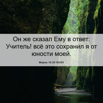 Picture 06 - Марка 10:20 RUSV - Он же сказал Ему в ответ: - Bible Verse Picture