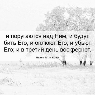 Picture 06 - Марка 10:34 RUSV - и поругаются над Ним, и - Bible Verse Picture