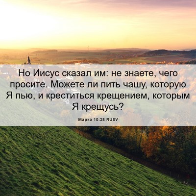Picture 06 - Марка 10:38 RUSV - Но Иисус сказал им: не - Bible Verse Picture
