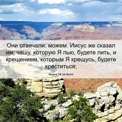 Picture 06 - Марка 10:39 RUSV - Они отвечали: можем. Иисус - Bible Verse Picture