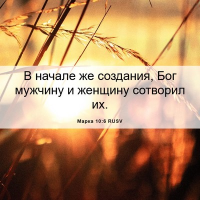 Picture 06 - Марка 10:6 RUSV - В начале же создания, Бог - Bible Verse Picture