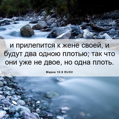 Picture 06 - Марка 10:8 RUSV - и прилепится к жене своей, - Bible Verse Picture