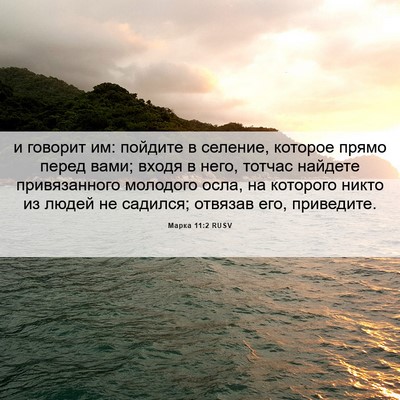 Picture 06 - Марка 11:2 RUSV - и говорит им: пойдите в - Bible Verse Picture
