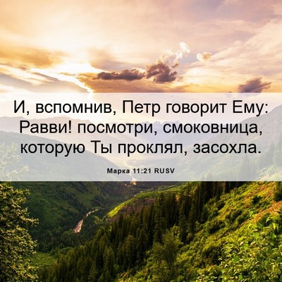 Picture 06 - Марка 11:21 RUSV - И, вспомнив, Петр говорит - Bible Verse Picture