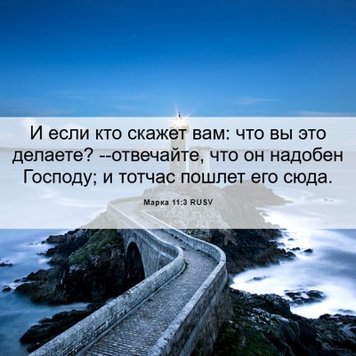 Picture 06 - Марка 11:3 RUSV - И если кто скажет вам: что - Bible Verse Picture