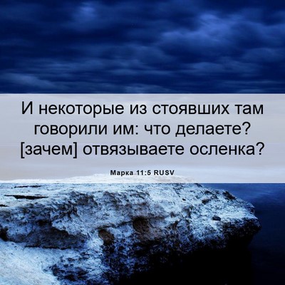 Picture 06 - Марка 11:5 RUSV - И некоторые из стоявших - Bible Verse Picture