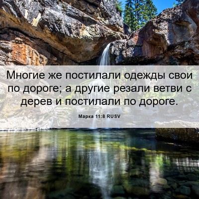 Picture 06 - Марка 11:8 RUSV - Многие же постилали одежды - Bible Verse Picture