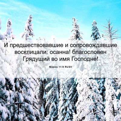 Picture 06 - Марка 11:9 RUSV - И предшествовавшие и - Bible Verse Picture