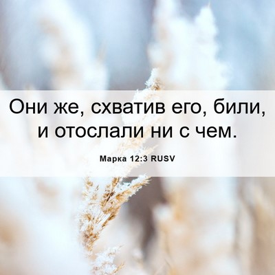 Picture 06 - Марка 12:3 RUSV - Они же, схватив его, били, и - Bible Verse Picture