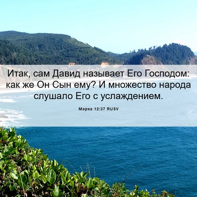 Picture 06 - Марка 12:37 RUSV - Итак, сам Давид называет - Bible Verse Picture
