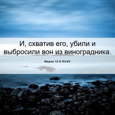 Picture 06 - Марка 12:8 RUSV - И, схватив его, убили и - Bible Verse Picture