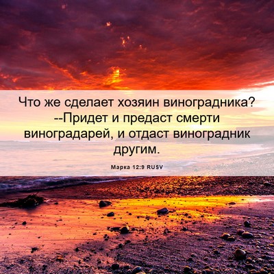 Picture 06 - Марка 12:9 RUSV - Что же сделает хозяин - Bible Verse Picture