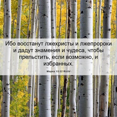 Picture 06 - Марка 13:22 RUSV - Ибо восстанут лжехристы и - Bible Verse Picture