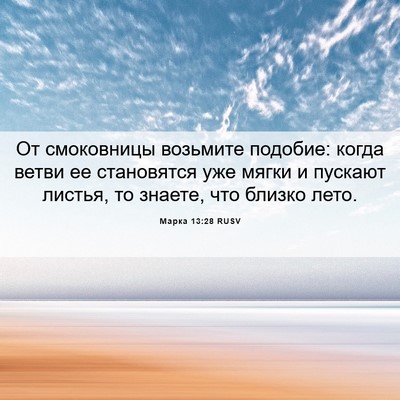 Picture 06 - Марка 13:28 RUSV - От смоковницы возьмите - Bible Verse Picture