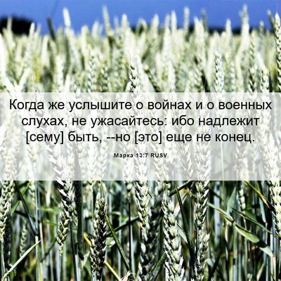 Picture 06 - Марка 13:7 RUSV - Когда же услышите о войнах - Bible Verse Picture