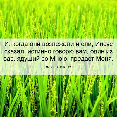 Picture 06 - Марка 14:18 RUSV - И, когда они возлежали и - Bible Verse Picture