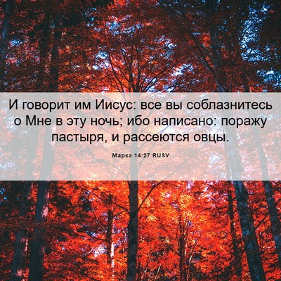 Picture 06 - Марка 14:27 RUSV - И говорит им Иисус: все вы - Bible Verse Picture