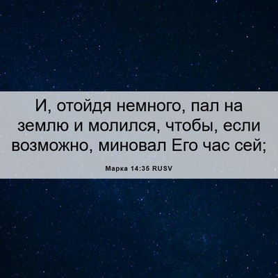 Picture 06 - Марка 14:35 RUSV - И, отойдя немного, пал на - Bible Verse Picture