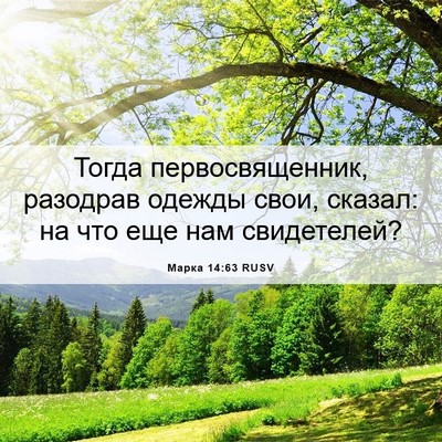 Picture 06 - Марка 14:63 RUSV - Тогда первосвященник, - Bible Verse Picture