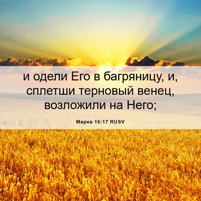 Picture 06 - Марка 15:17 RUSV - и одели Его в багряницу, и, - Bible Verse Picture