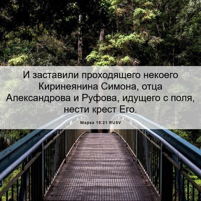 Picture 06 - Марка 15:21 RUSV - И заставили проходящего - Bible Verse Picture