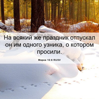 Picture 06 - Марка 15:6 RUSV - На всякий же праздник - Bible Verse Picture