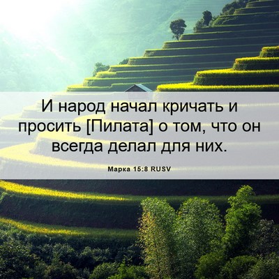 Picture 06 - Марка 15:8 RUSV - И народ начал кричать и - Bible Verse Picture