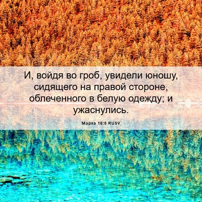 Picture 06 - Марка 16:5 RUSV - И, войдя во гроб, увидели - Bible Verse Picture