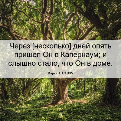 Picture 06 - Марка 2:1 RUSV - Через [несколько] дней - Bible Verse Picture