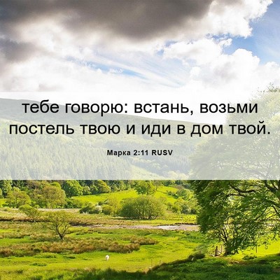 Picture 06 - Марка 2:11 RUSV - тебе говорю: встань, возьми - Bible Verse Picture