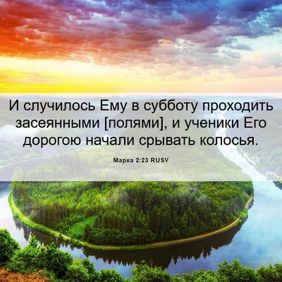 Picture 06 - Марка 2:23 RUSV - И случилось Ему в субботу - Bible Verse Picture
