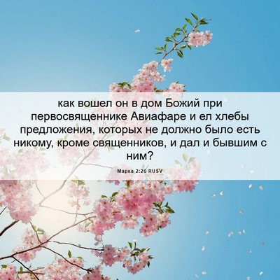 Picture 06 - Марка 2:26 RUSV - как вошел он в дом Божий - Bible Verse Picture