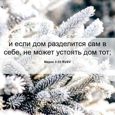 Picture 06 - Марка 3:25 RUSV - и если дом разделится сам в - Bible Verse Picture