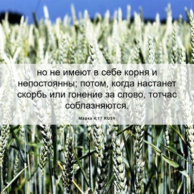 Picture 06 - Марка 4:17 RUSV - но не имеют в себе корня и - Bible Verse Picture