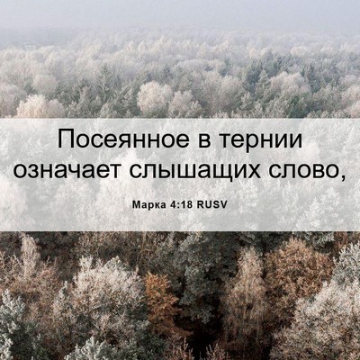 Picture 06 - Марка 4:18 RUSV - Посеянное в тернии - Bible Verse Picture
