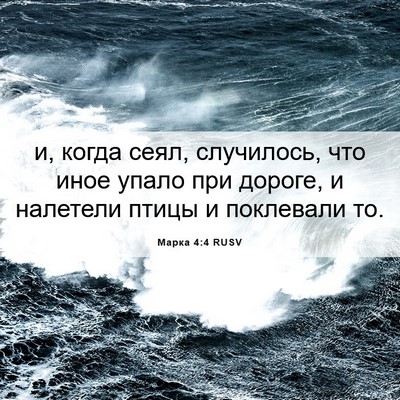 Picture 06 - Марка 4:4 RUSV - и, когда сеял, случилось, - Bible Verse Picture
