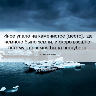 Picture 06 - Марка 4:5 RUSV - Иное упало на каменистое - Bible Verse Picture