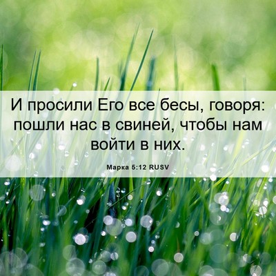 Picture 06 - Марка 5:12 RUSV - И просили Его все бесы, - Bible Verse Picture