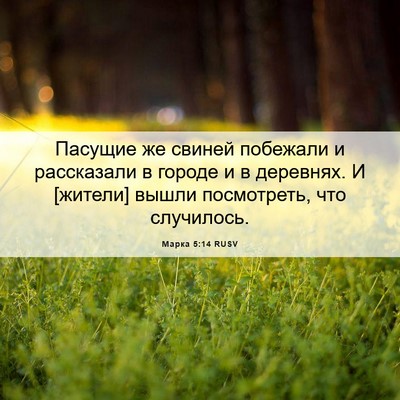 Picture 06 - Марка 5:14 RUSV - Пасущие же свиней побежали - Bible Verse Picture